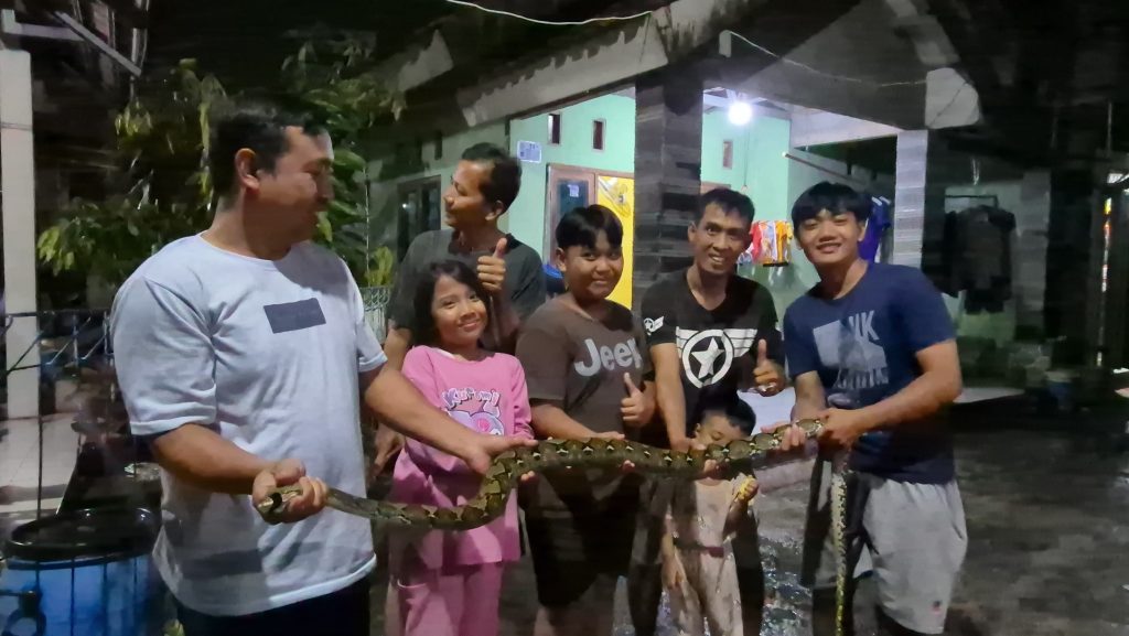 Warga tangkap ular Sanca Kembang di Cilangkap