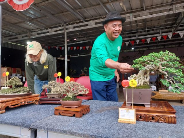 Festival Bonsai Digelar, 300 Peserta Ikut Serta