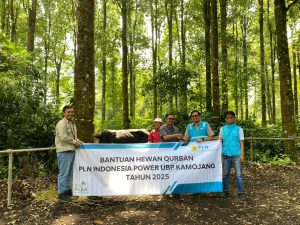 PLN IP UBP Kamojang