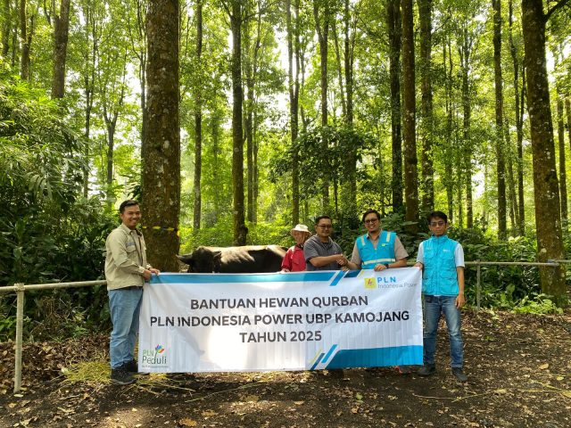 Berbagi Energi Kebaikan, PLN Indonesia Power UBP Kamojang Salurkan Hewan Kurban Peringati Idul Adha 1446 H