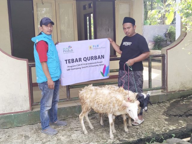 Idul Adha 2025: Menebar Kebahagiaan, Menjalin Keberkahan, PLN Indonesia Power UBP Kamojang PLTP Gunung Salak Tebar Qurban di Sukabumi dan Bogor