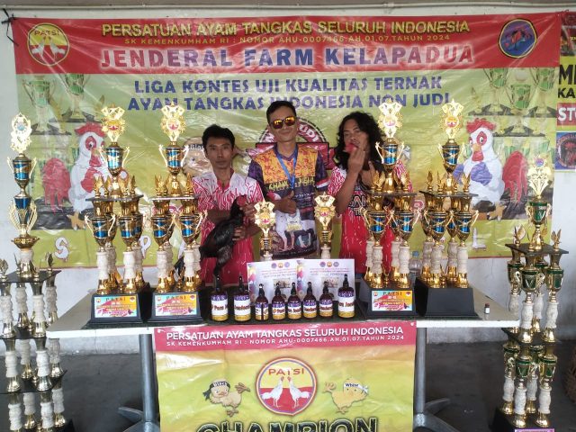 Ratusan Ayam Tangkas Ikut Kontes, Tepis Stigma Soal Praktik Perjudian