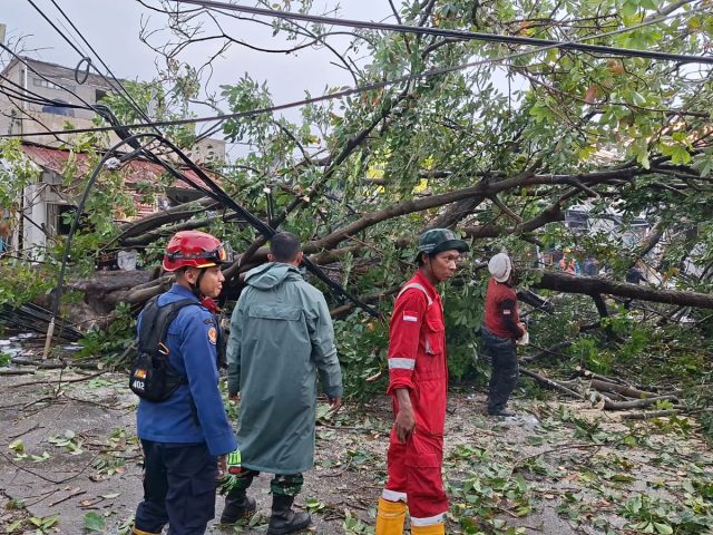 Pohon Besar di Pertigaan Jalan Curug Agung Tumbang, Satu Petugas Damkar Depok Alami Kecelakaan Kerja Saat Evakuasi