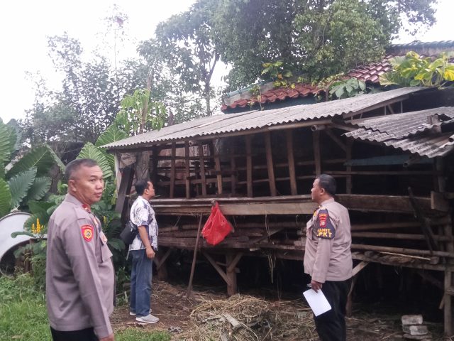 Gawat, Delapan Kambing Milik Warga Sawangan Dicuri dan Disisakan Jeroan
