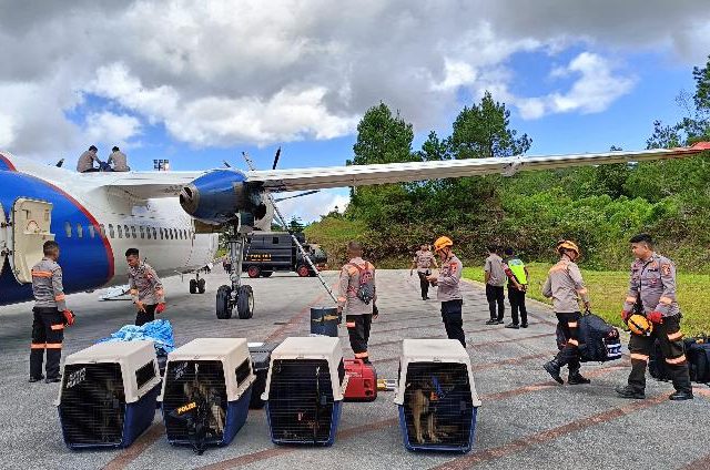 Tim K9 Dikerahkan di Lokasi Bencana Alam untuk Cari Korban