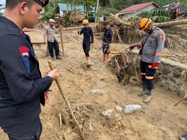 Sisir Lokasi Bencana di Desa Hutaraja, Tim K9 Temukan Satu Mayat Perempuan