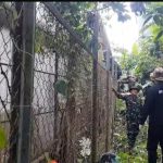 Dukung Pelestarian Lingkungan, Rutan Depok Tanam 100 Pohon dan Bersih-bersih