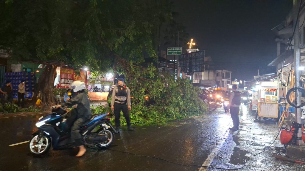 Pohon tumbang di Jalan Akses UI