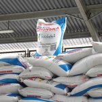 Di Tengah Krisis Pupuk Global, Prabowo Justru Pangkas Harga 20% untuk Petani