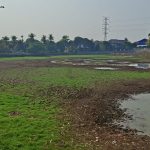 Air di Danau Cinere kering