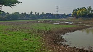 Air di Danau Cinere kering