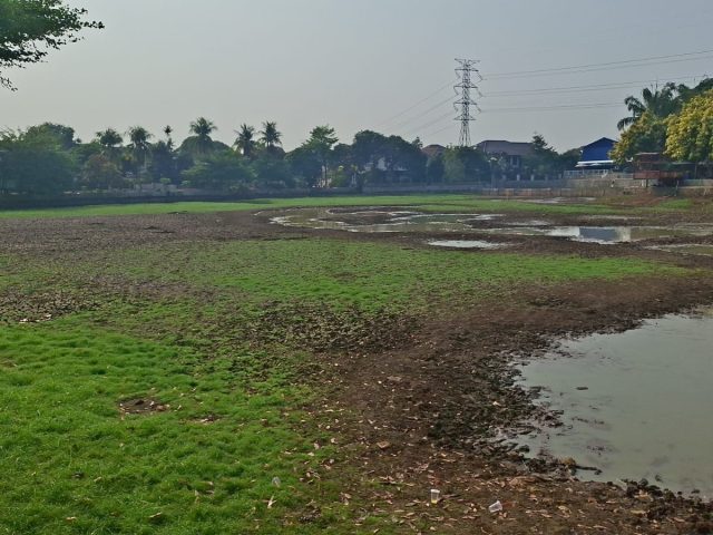 Kering Kerontang, Begini Kondisi Danau Cinere Saat Kemarau Panjang